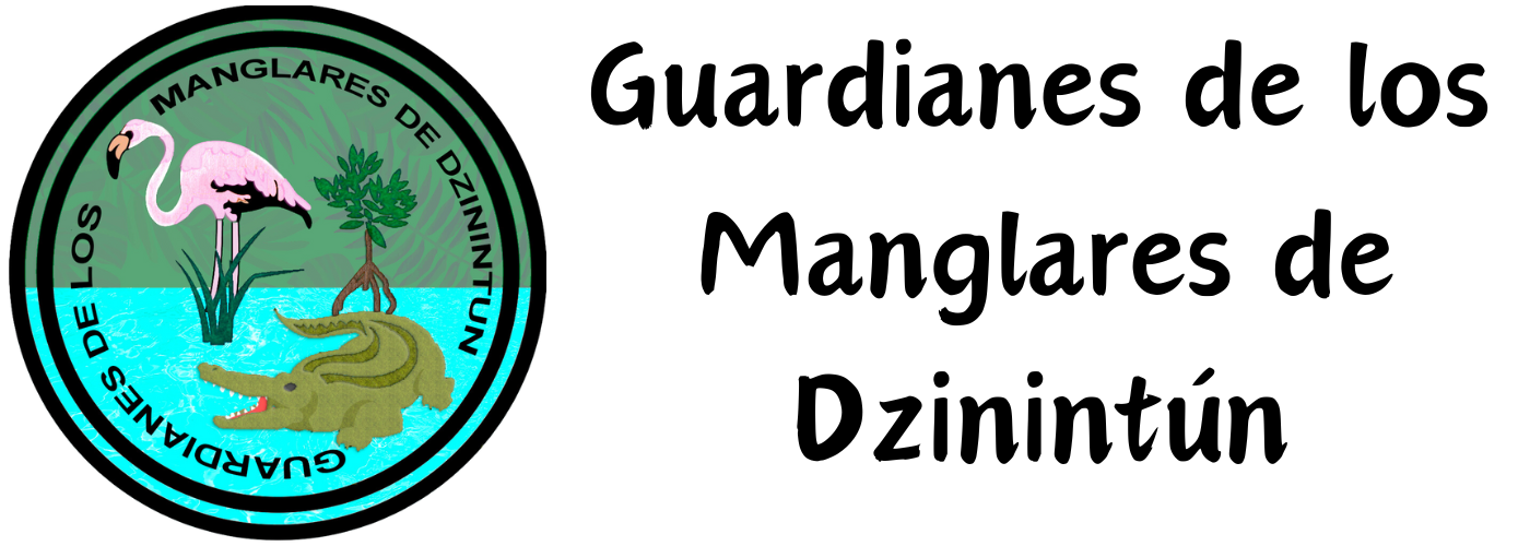 Guardianes de los Manglares de Dzinintun